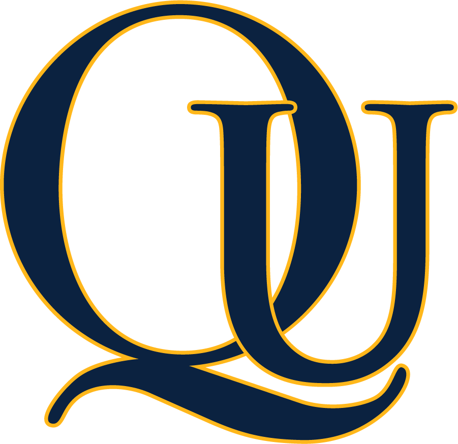 Quinnipiac Bobcats 2000-2017 Alternate Logo diy iron on heat transfer